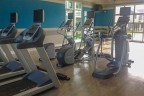 Springs of Riverchase - Fitness Center